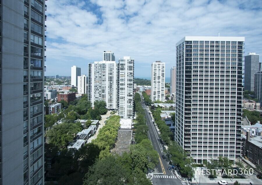 1355 N Sandburg Ter #2208D - Photo 3 of 10