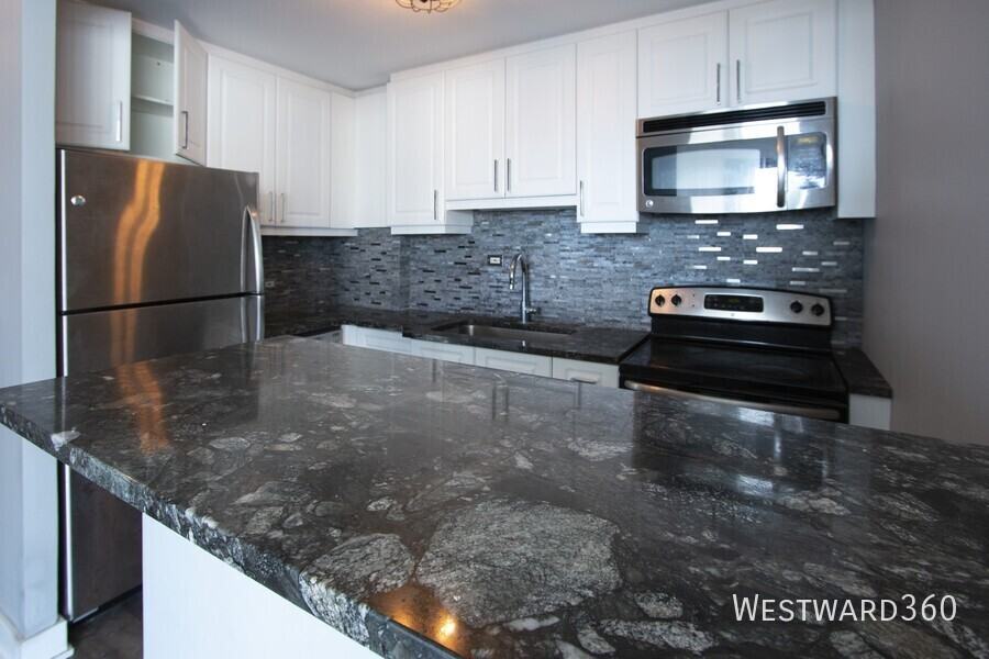 1355 N Sandburg Ter #2208D - Photo 4 of 10