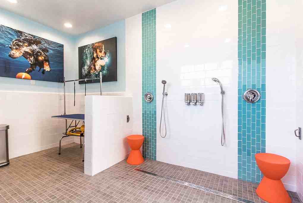 Crow Canyon - Photo 7 of 48