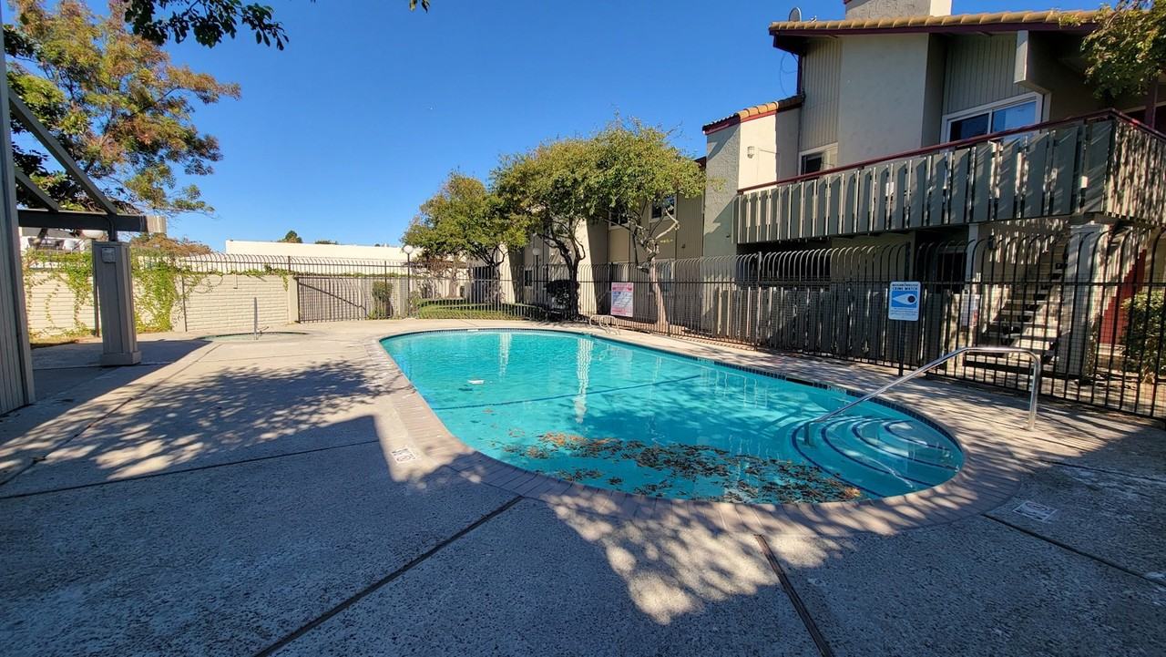 35214 Lido Boulevard, Unit L - Photo 4 of 24