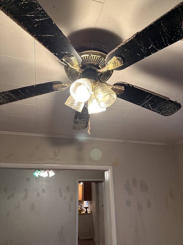 109 Chestnut St #B - Photo 7 of 14