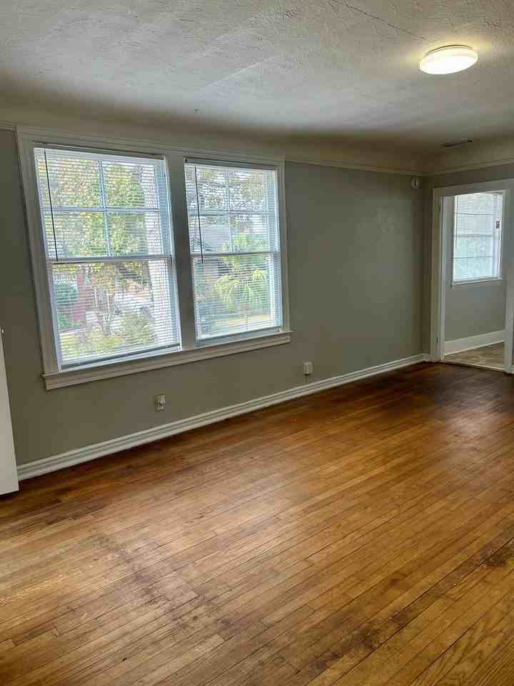 1215 Willow Branch Avenue - Photo 4 of 24