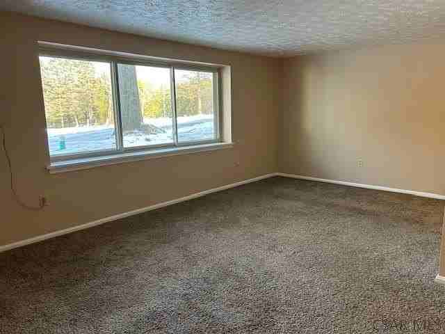 545 Goucher St - Photo 3 of 8