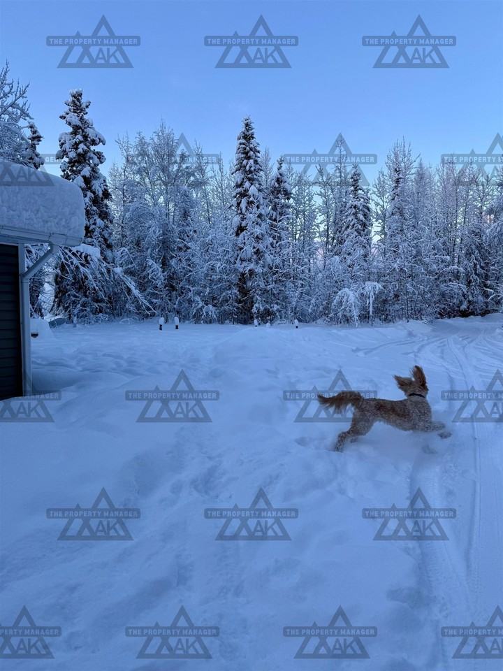 3559 Joan Ave - Photo 2 of 23