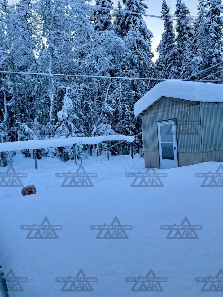 3559 Joan Ave - Photo 5 of 23