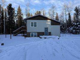 featured image of Ladies Ln