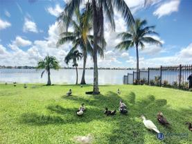 1090 Nw 123rd Ct #816 - Photo 1 of 1