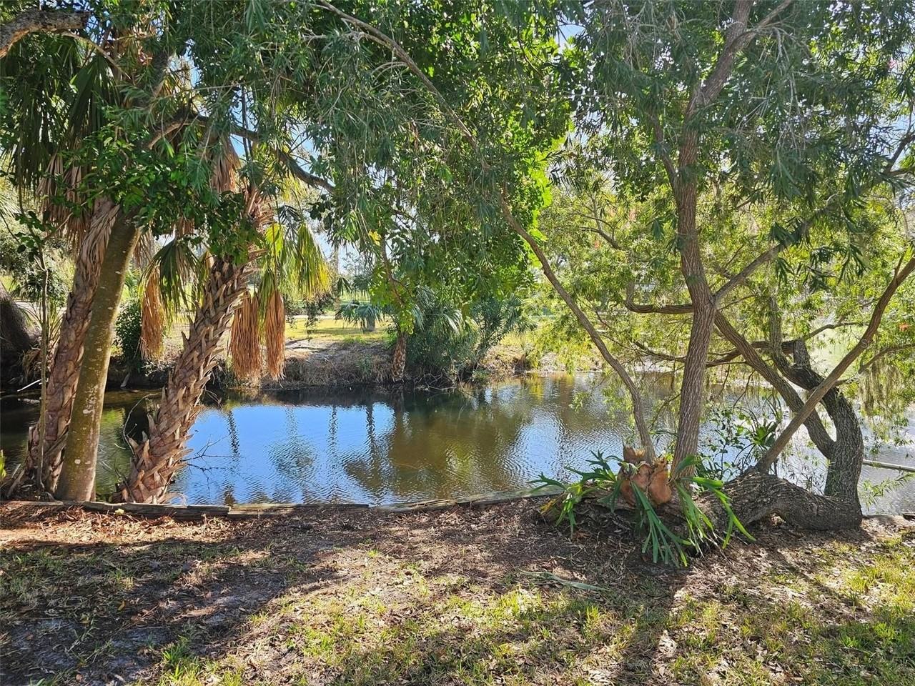 4408 La Jolla Dr #19A - Photo 5 of 11