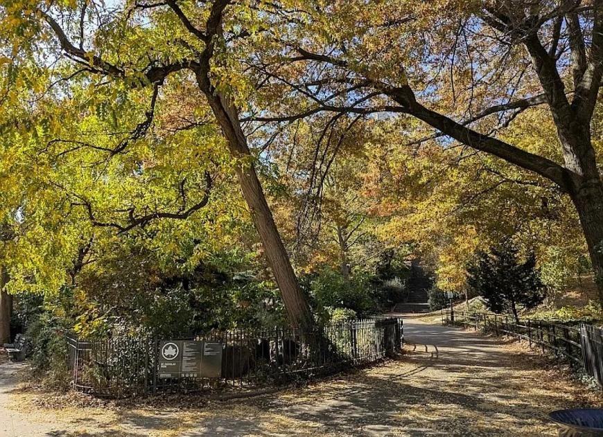 301 W 130th St - Photo 6 of 6