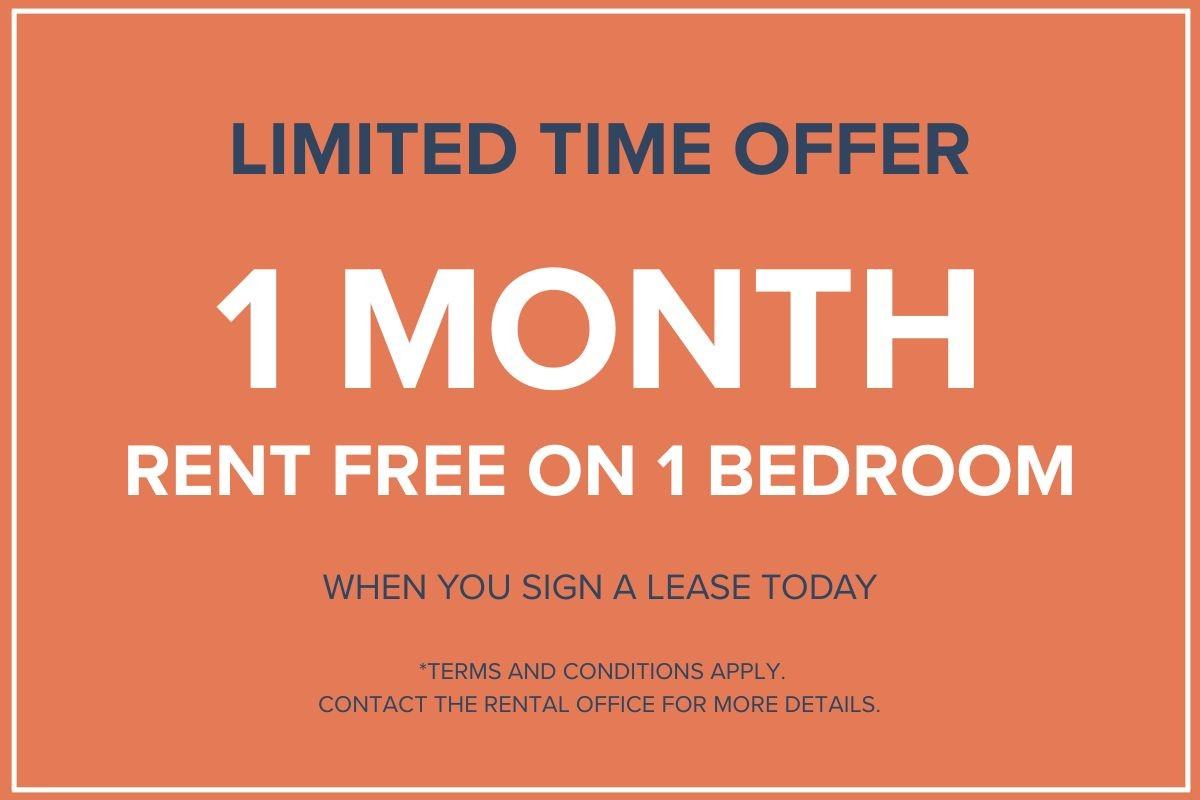 Nuovo Apartments - Photo 5 of 48