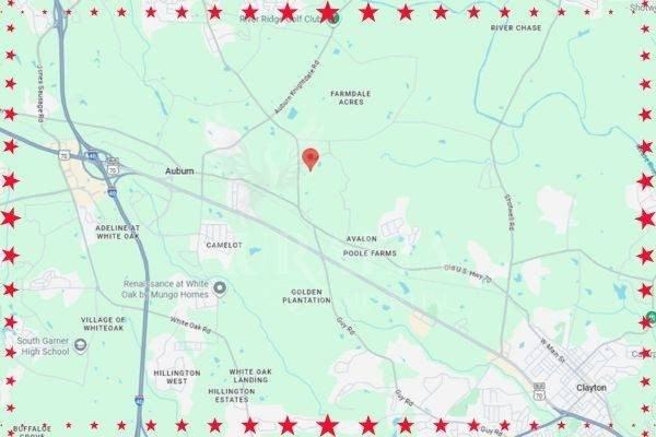 196 Aster Bloom Ln - Photo 2 of 24