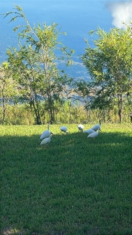 3405 Nw 44th St #105 - Photo 7 of 37