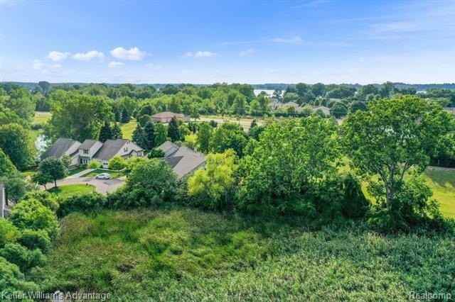 31173 Livingston Dr - Photo 6 of 40