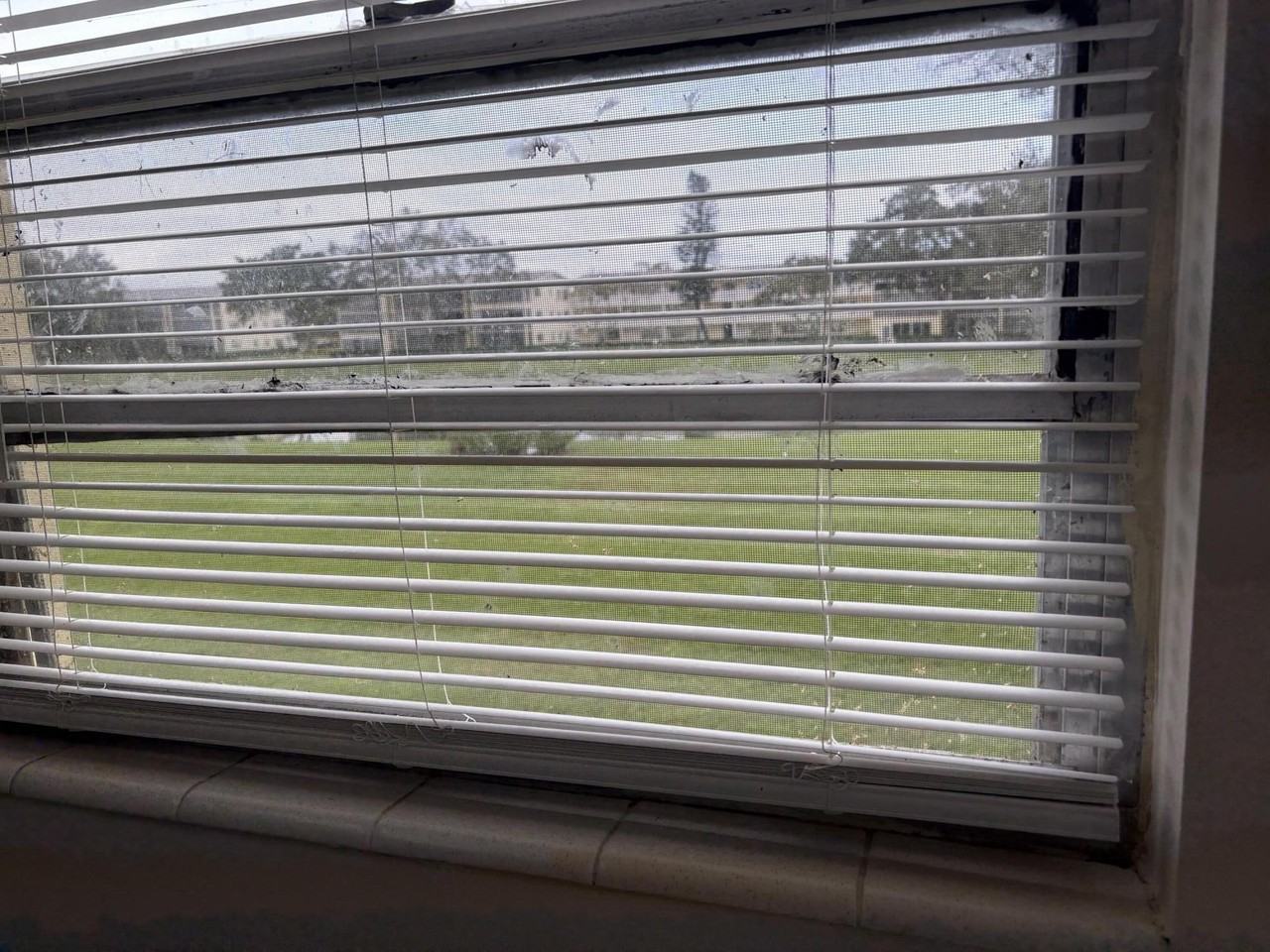 186 Dorset E - Photo 5 of 23