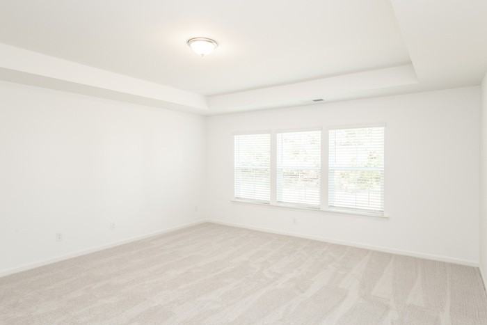 2821 Thames Willow Way - Photo 7 of 15