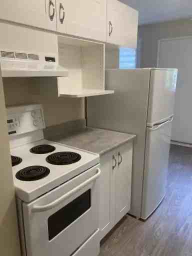 10707 81 Ave Nw #305 - Photo 2 of 7