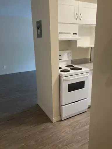 10707 81 Ave Nw #305 - Photo 4 of 7