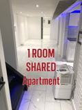 Private Room in Shared Apartment (Vacant) - Photo 1 of 1