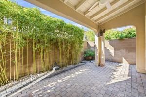 featured image of 38 Flowerstalk #38