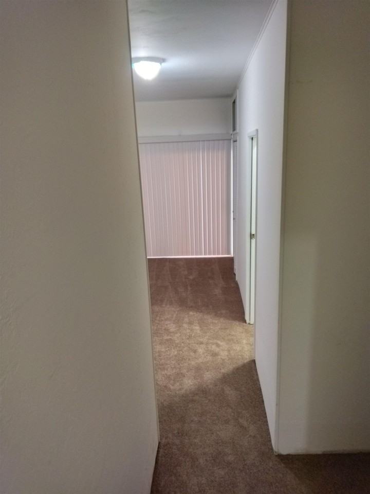 1313 Curtis St #1313 - Photo 4 of 8