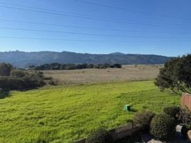 2036 Lexington Ave #2036 - Photo 1 of 1