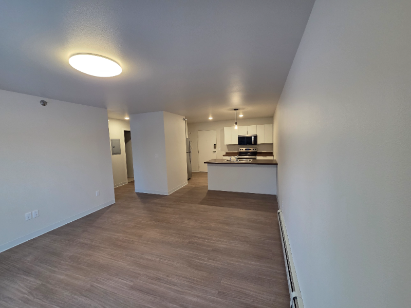 211 1St Ave Nw Hankinson Nd #4 - Photo 3 of 8