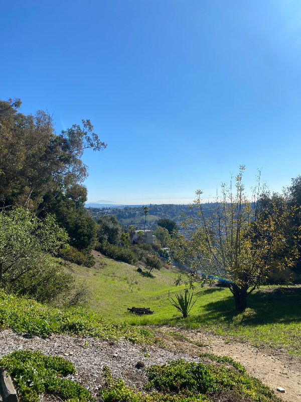 640 Rome Dr - Photo 3 of 14