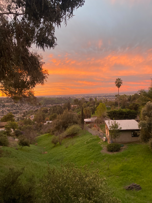 640 Rome Dr - Photo 6 of 14