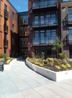 featured image of 515 Chatham Street #512