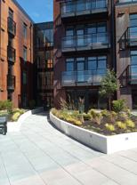 515 Chatham Street #412 - Photo 1 of 1