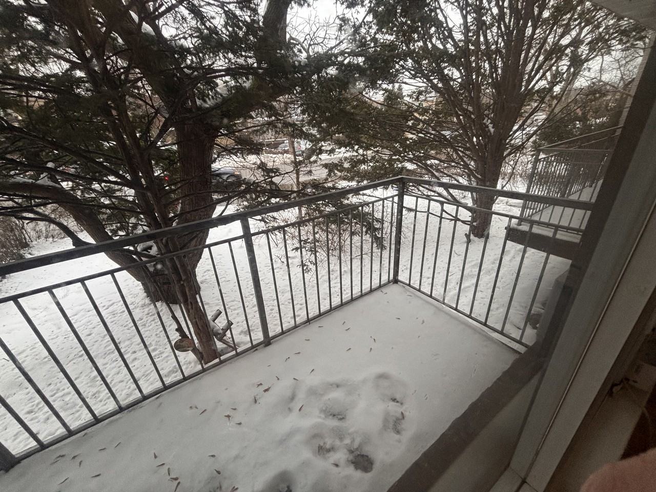 429 Lawrence Avenue West #3 - Photo 3 of 8