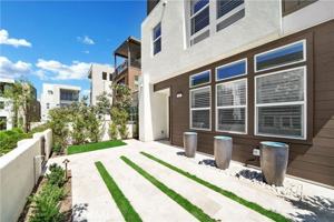 featured image of 249 Chorus