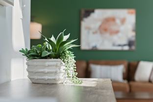 3797 Brushy Ridge Way - Photo 1 of 1