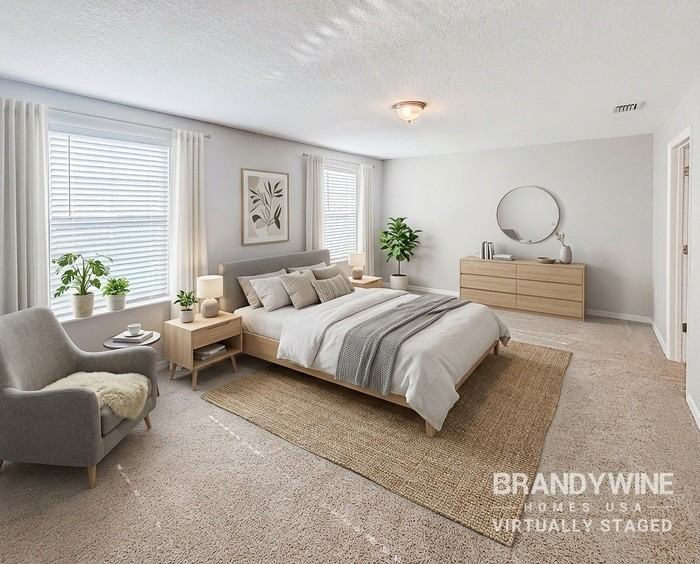 12026 Suburban Sunrise St - Photo 7 of 28