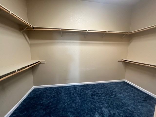 427 Sea Cove Dr #NA - Photo 5 of 17