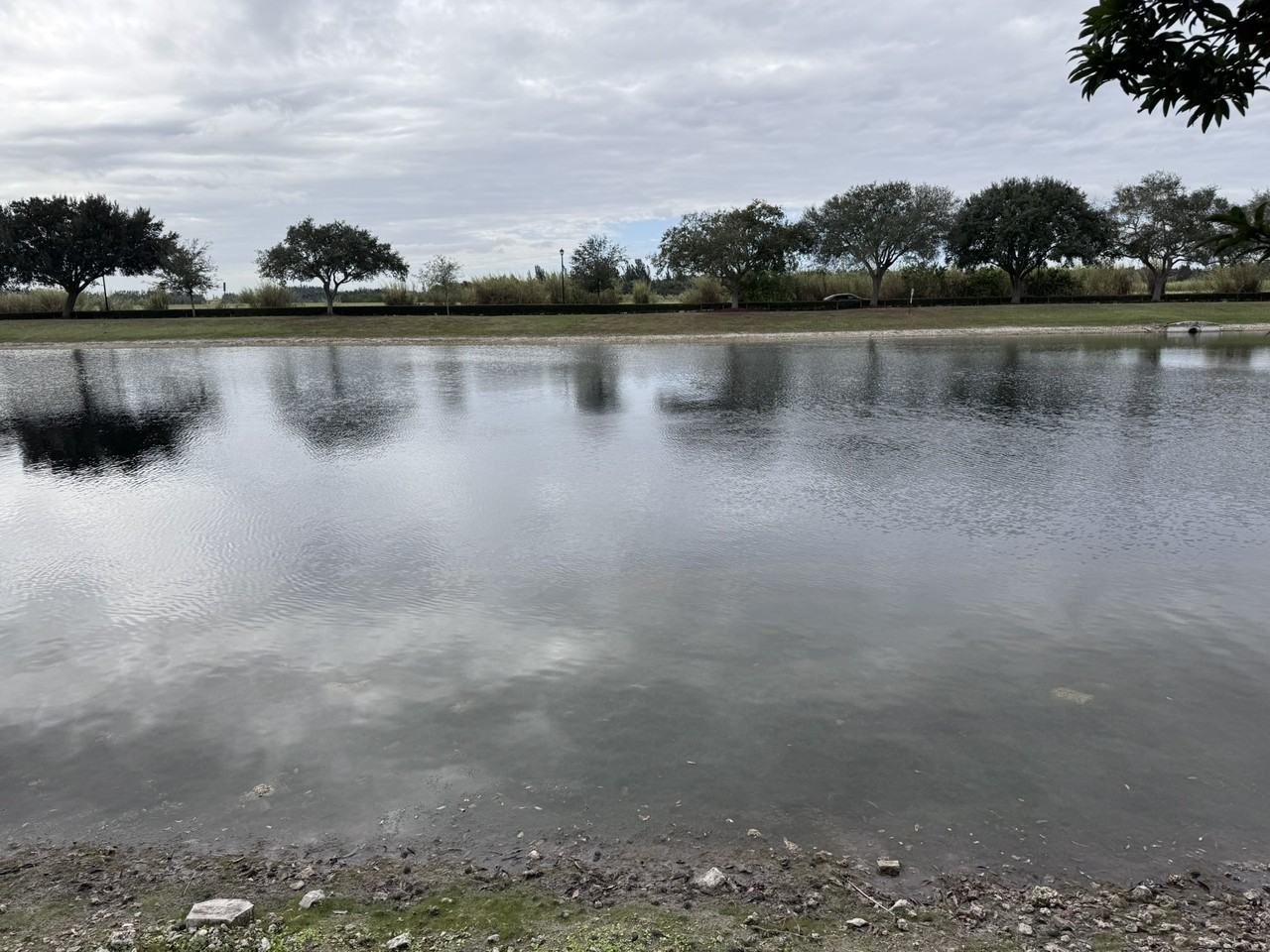 6306 Sw 165th Pl #NA - Photo 3 of 12