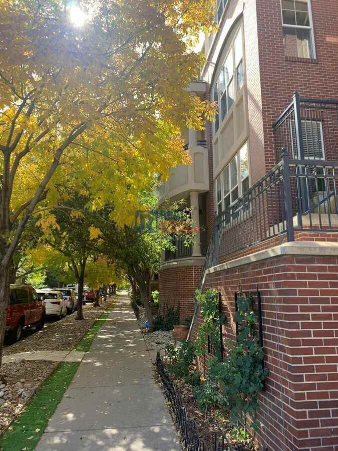 1489 Steele St #205 - Photo 2 of 17