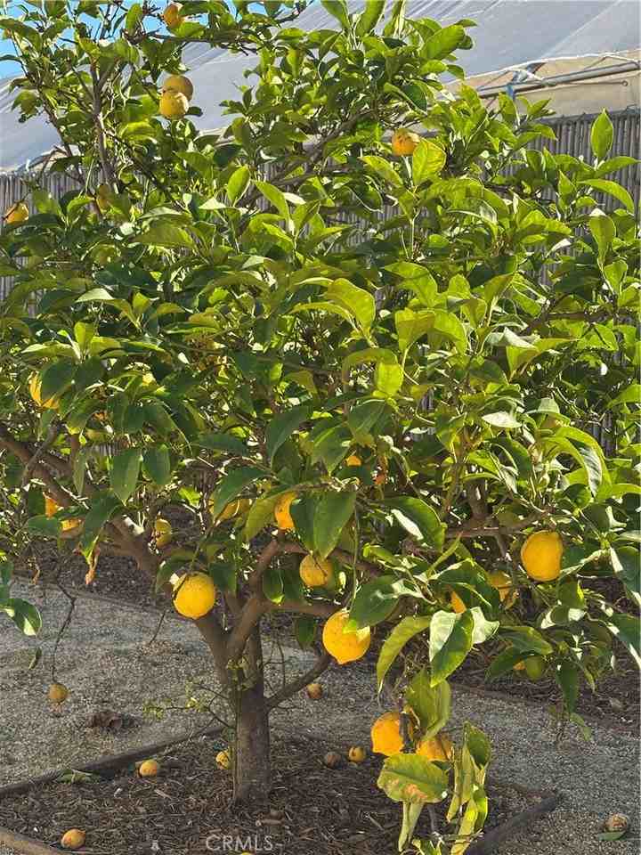 1042 S Catalina St #1042 - Photo 2 of 24