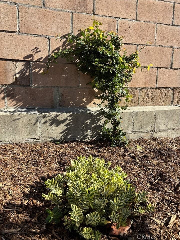 1042 S Catalina St #1042 - Photo 3 of 24