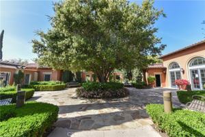 featured image of 23 Prickly Pear #23