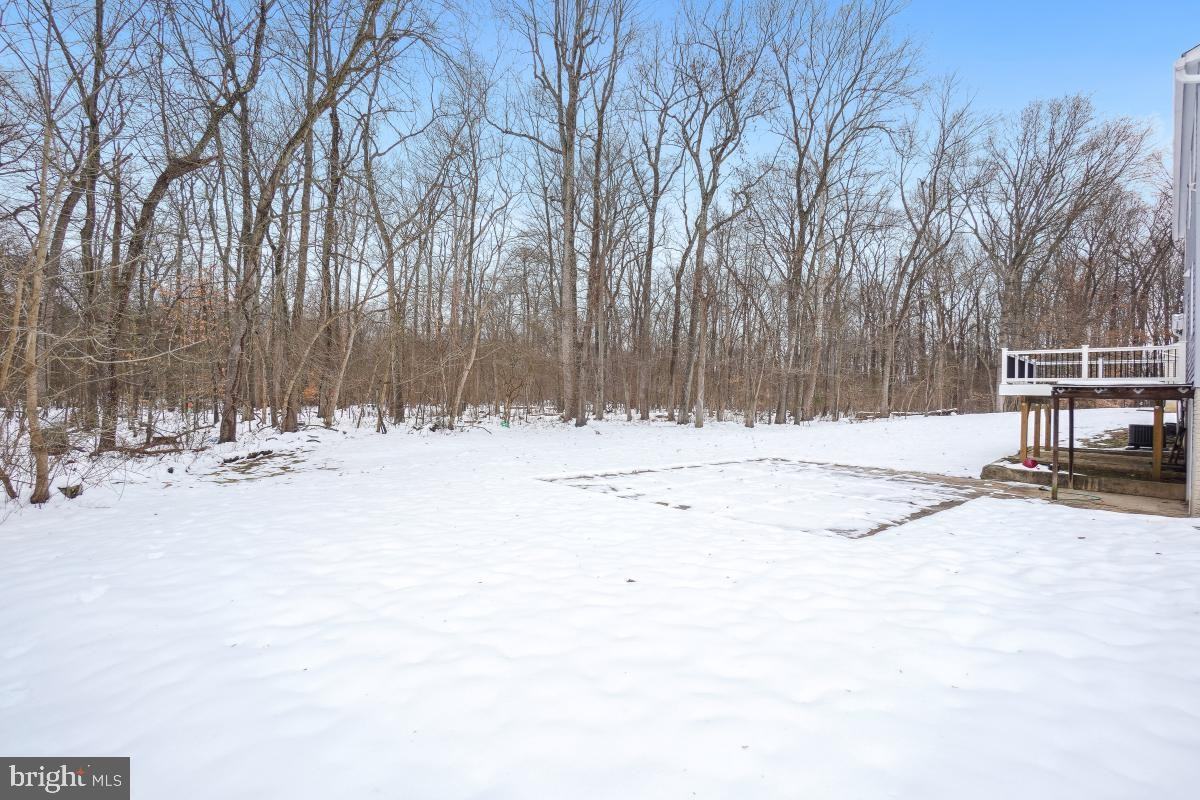 817 Falcon Dr #NA - Photo 5 of 30