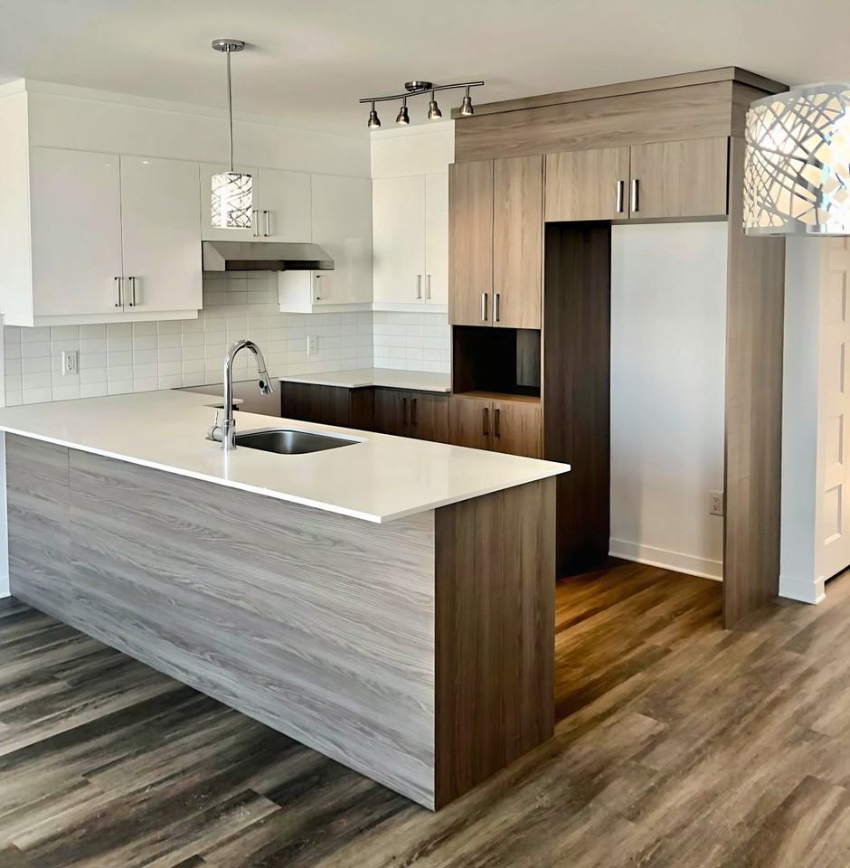 1167 Rue Du Grand-Pic - Photo 2 of 11