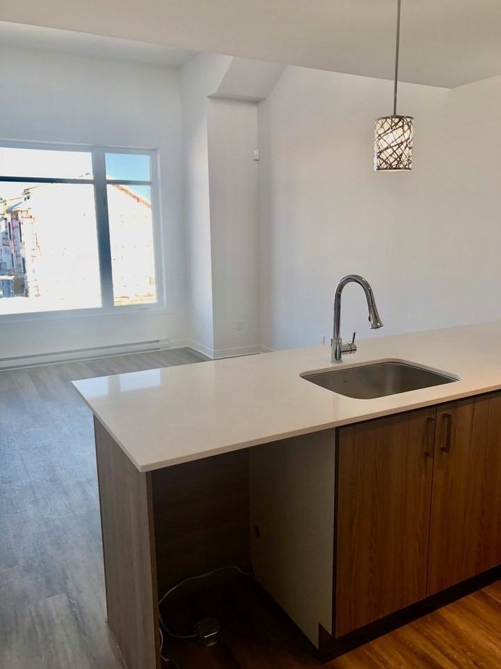 1167 Rue Du Grand-Pic - Photo 3 of 11