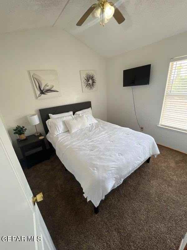 12157 Chato Villa Dr - Photo 6 of 18