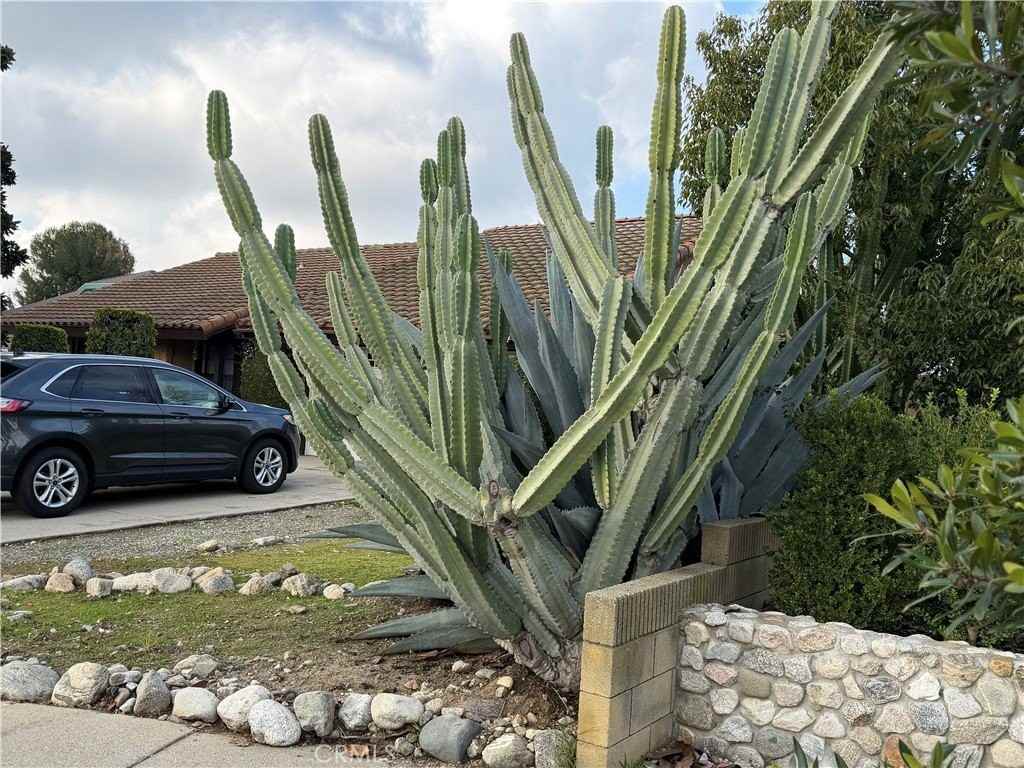 346 Julliard Dr - Photo 4 of 4