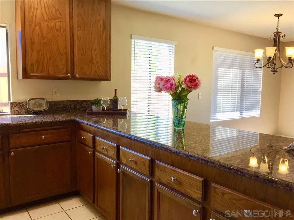 10187 Avenida Magnifica - Photo 5 of 9