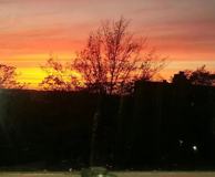 180 72nd St #344 - Photo 1 of 1