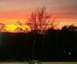 180 72nd St #344 - Photo 1 of 1