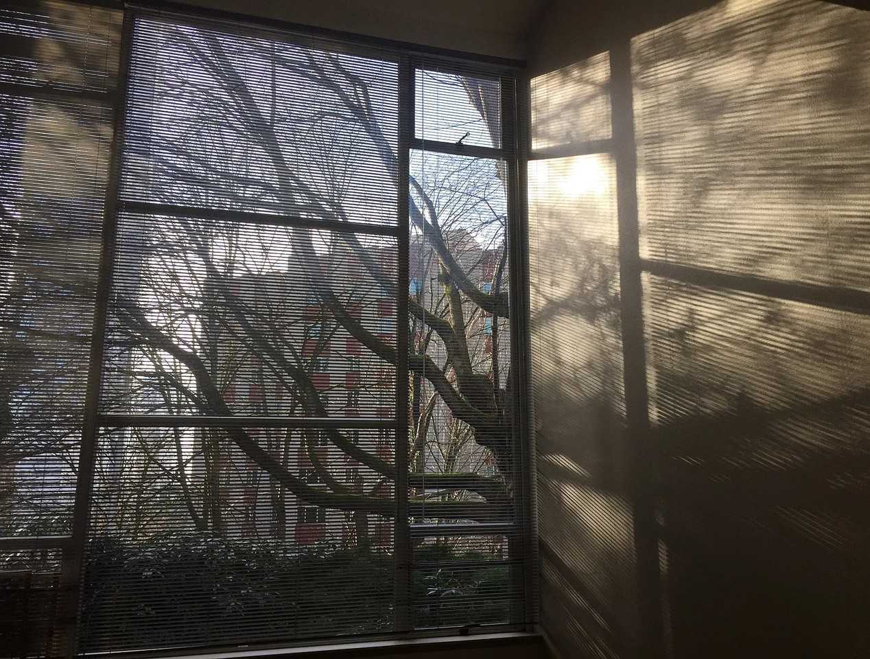 1000 Union St #201 - Photo 3 of 11