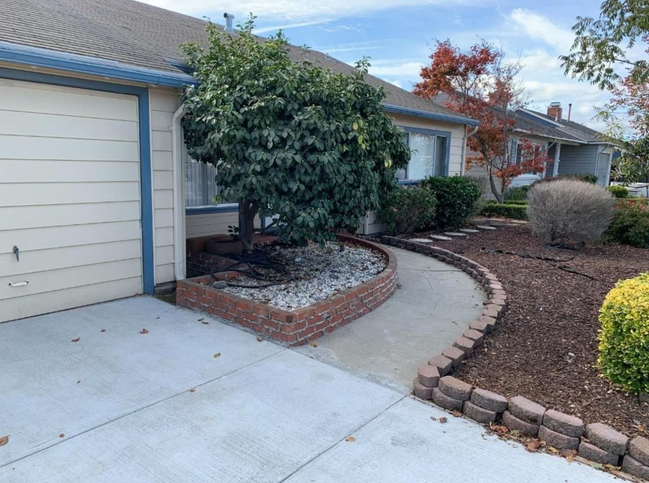 1564 Hemlock Ave - Photo 3 of 18